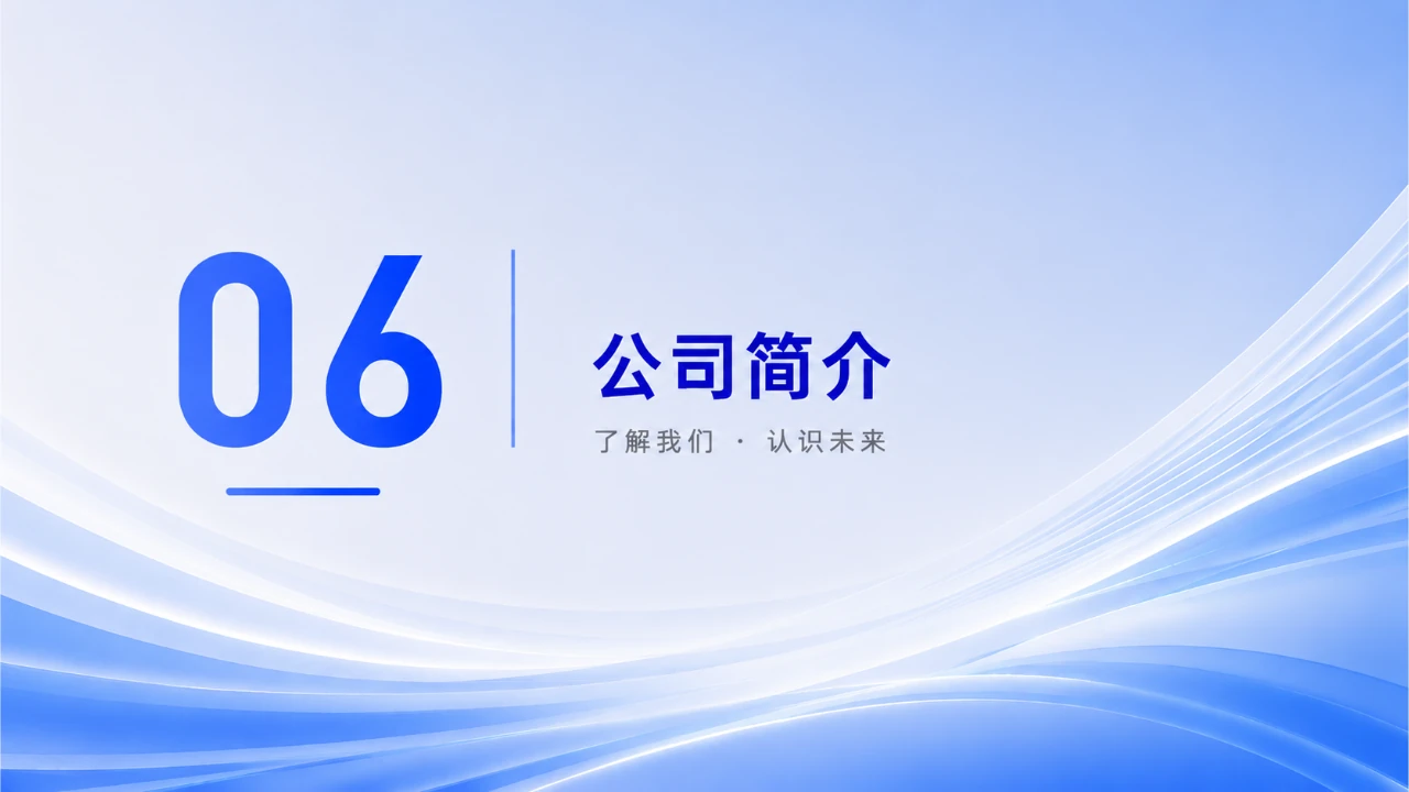 第六章:公司简介